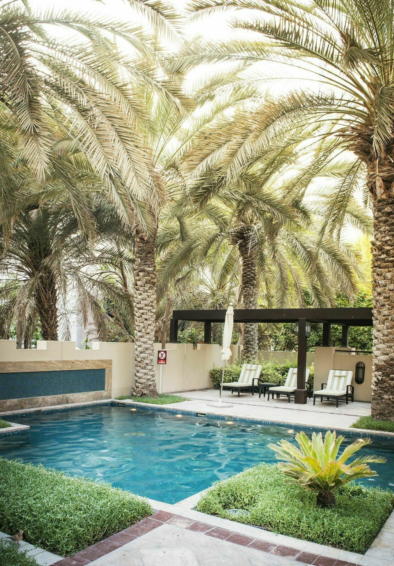 Dream - Kamoon Dubai